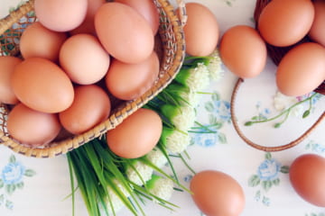 卵で健康的にダイエット。美味しく手軽にスタイルアップ